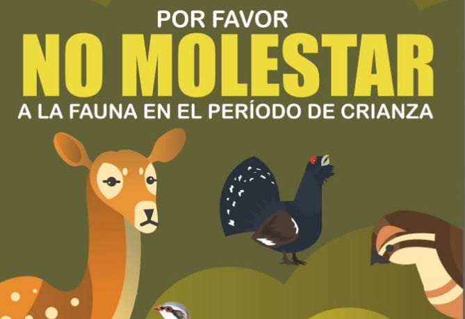 “Se ruega no molestar”: Fundación Artemisan alerta sobre el peligro de