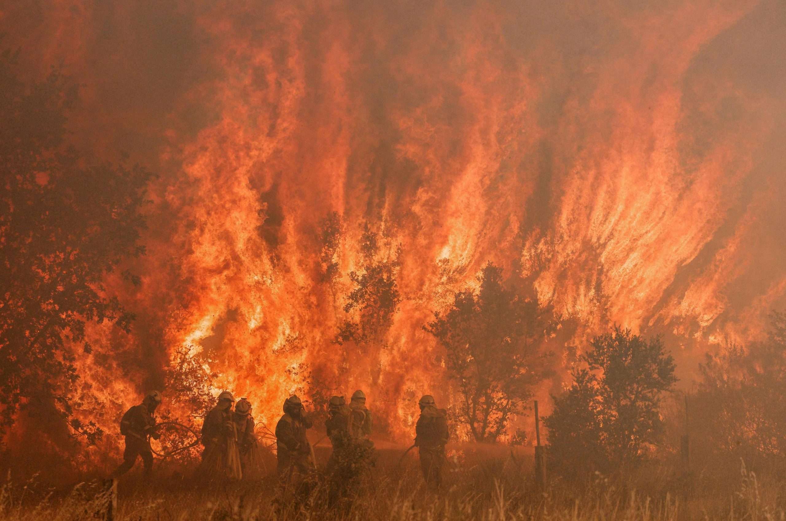 Incendio Sierra de la Culebra