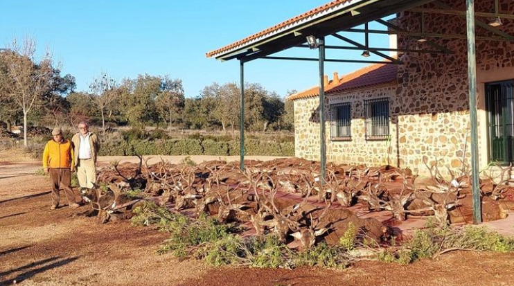 El Troyano Ibercaza Agropecuaria