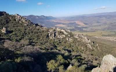 MONTERÍA EN CIUDAD REAL