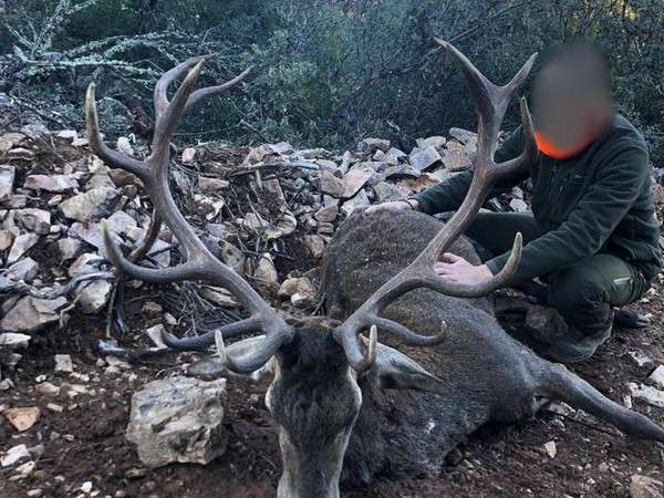 Rececho de venado plata en Albacete.