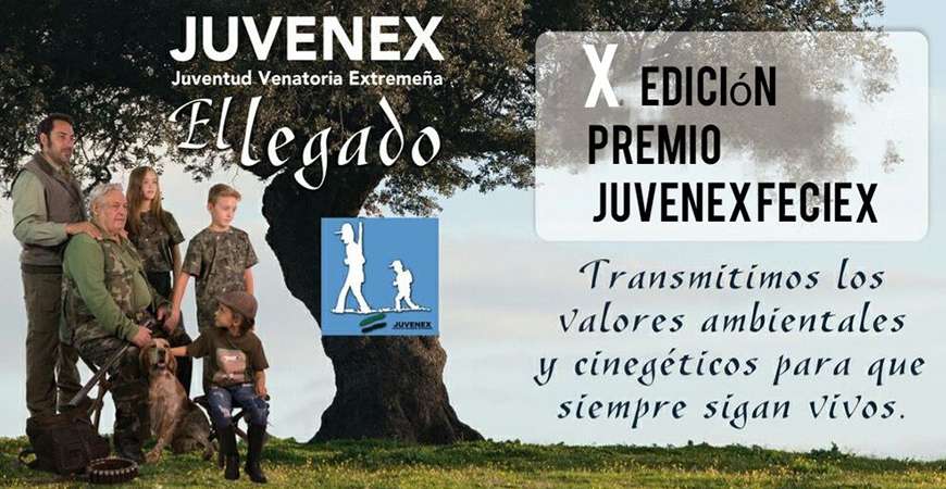 X edición premios Juvenex FEciex