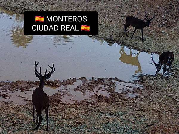 Monteros de Ciudad Real