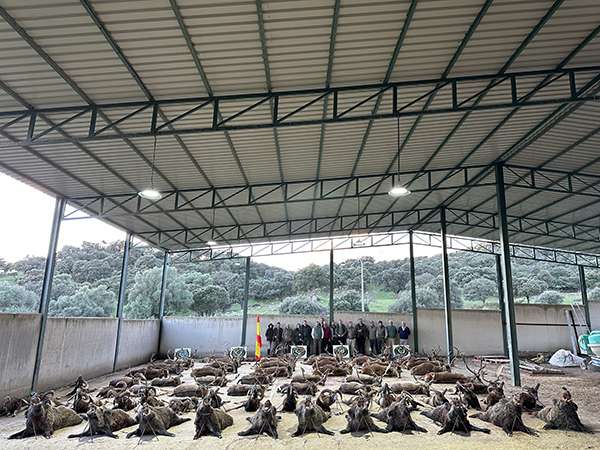 Cabezas SC montería en La Dehesa