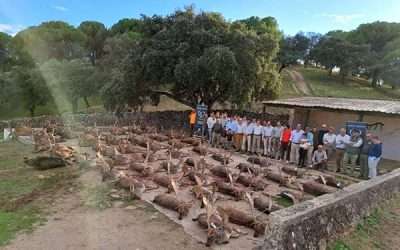 Montería en Casa Polo, en Córdoba