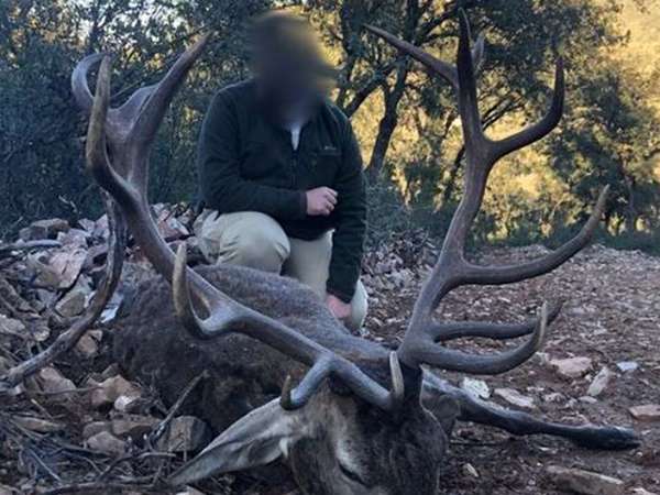 Rececho venado oro Albacete. Lances de Siempre