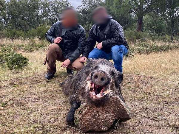 La Dehesa, Bosques y Caza