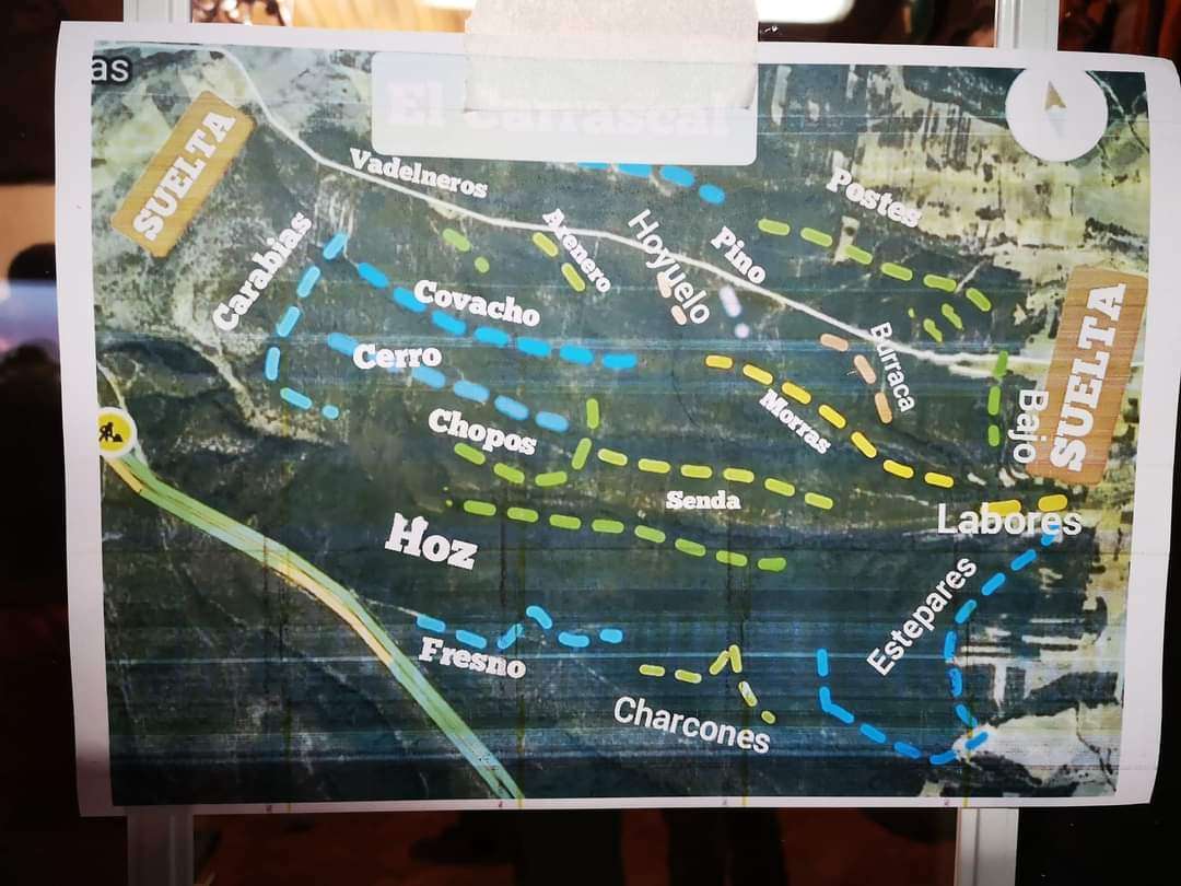 Crónica El Carrascal- Caza Las Castillas - Todomonteria
