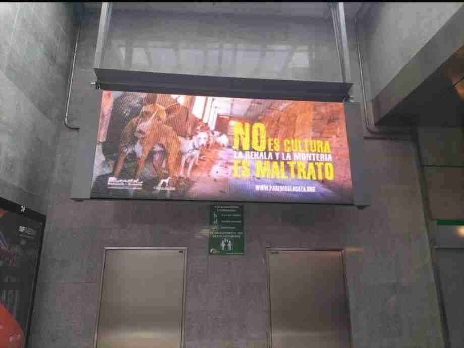 metro sevilla publicidad contra rehalas