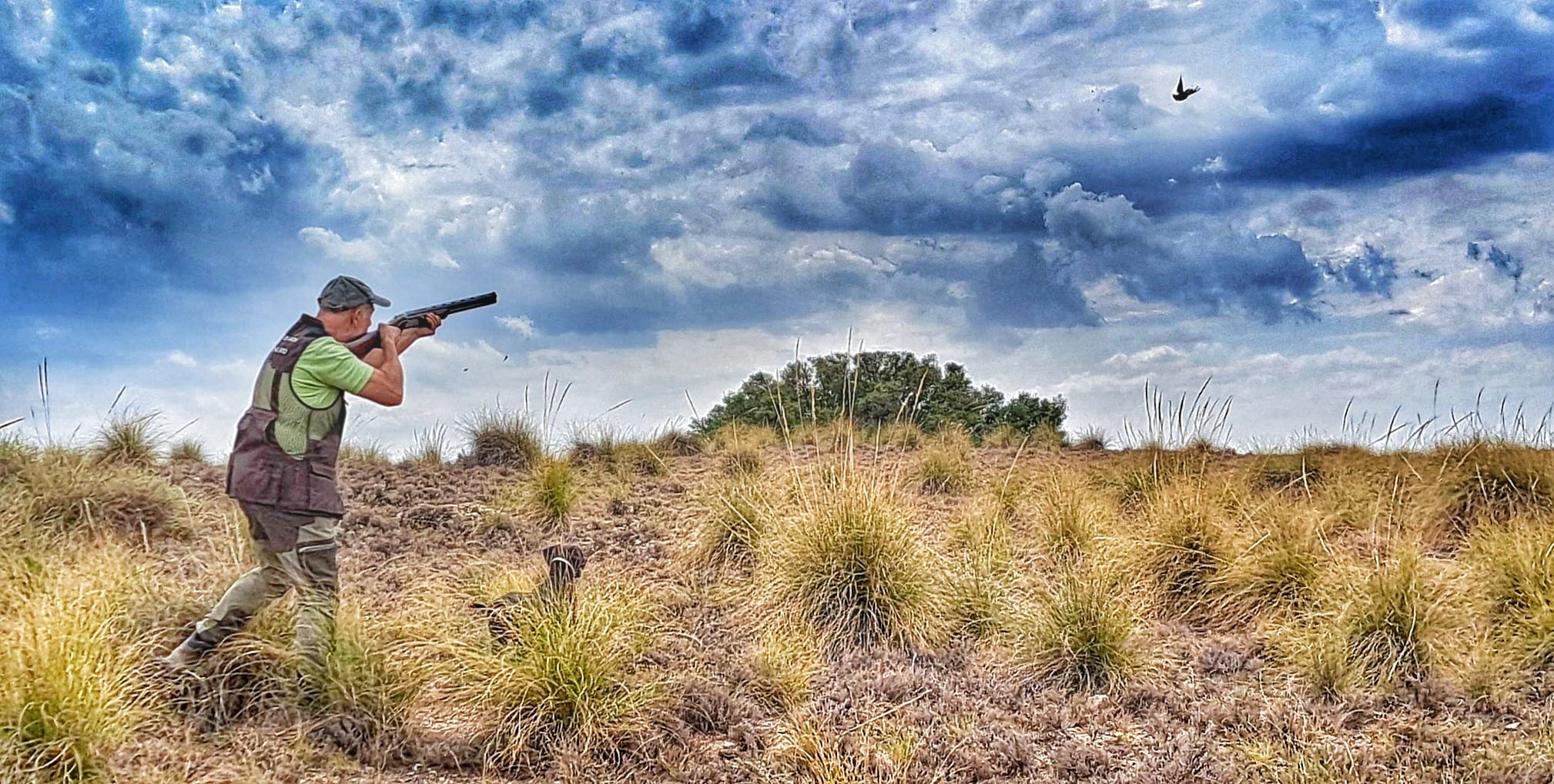 Federación de Caza de Castilla-La Mancha balance año cinegético 2024