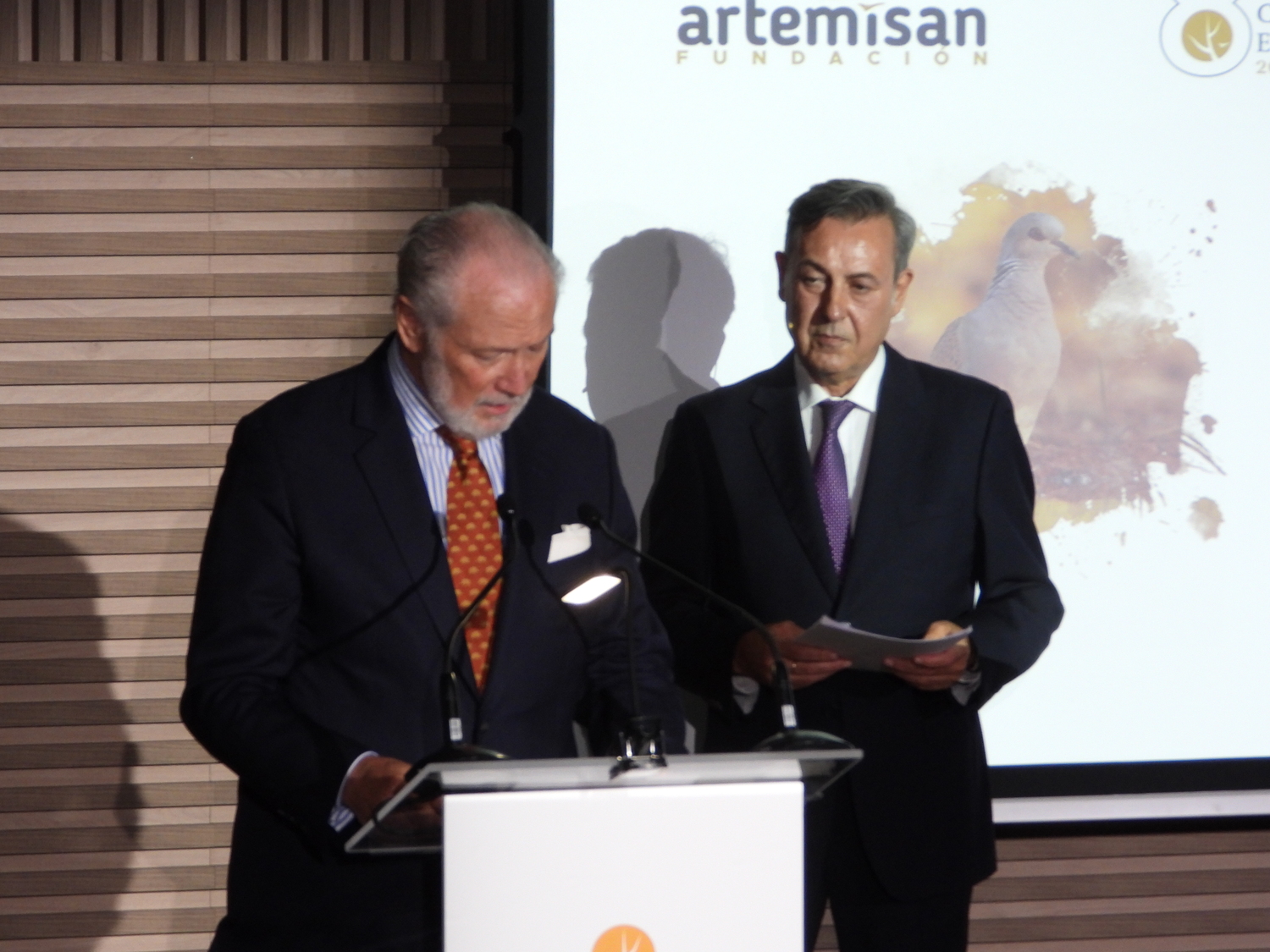 Gala 2025 Fundación Artemisan