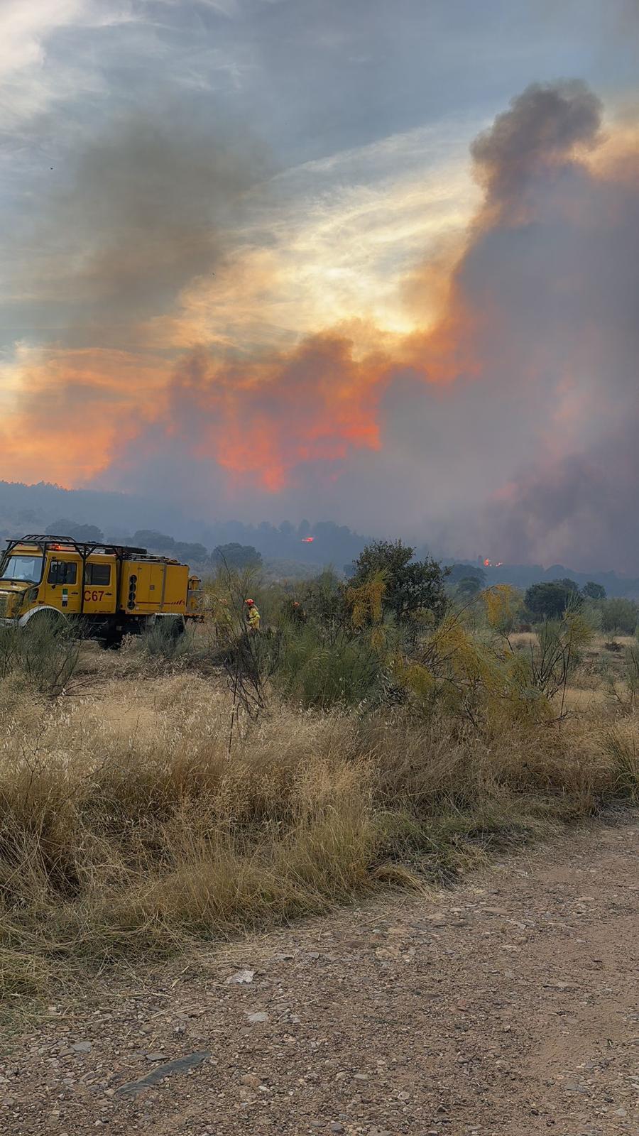 zona de contrafuego
