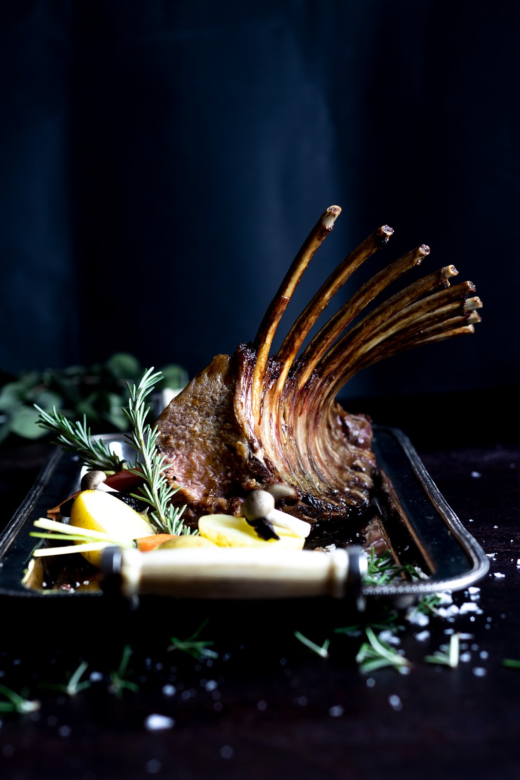 Carne de caza Asiccaza