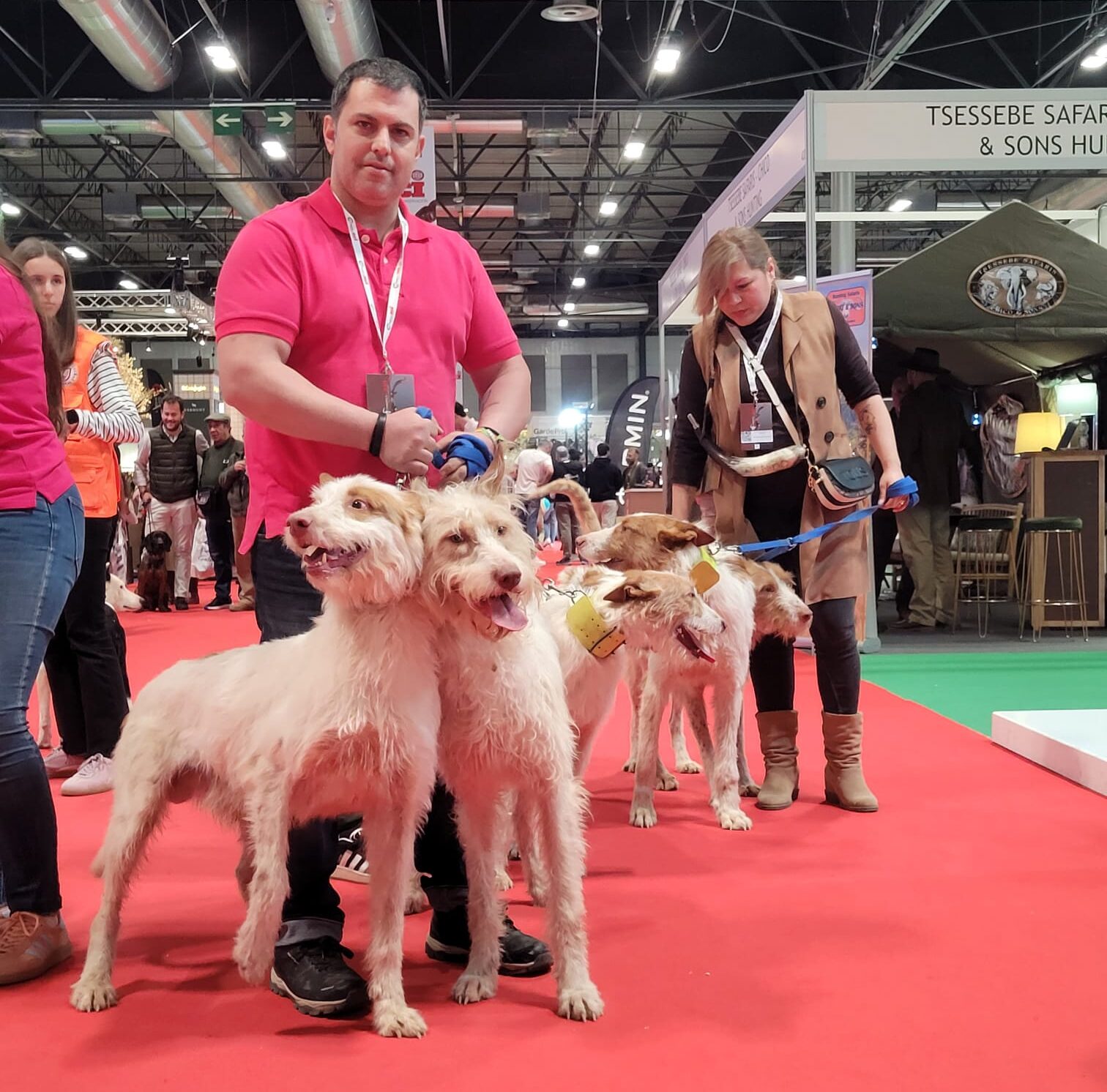 AER en Cinegética+SCI 2026 desfile colleras