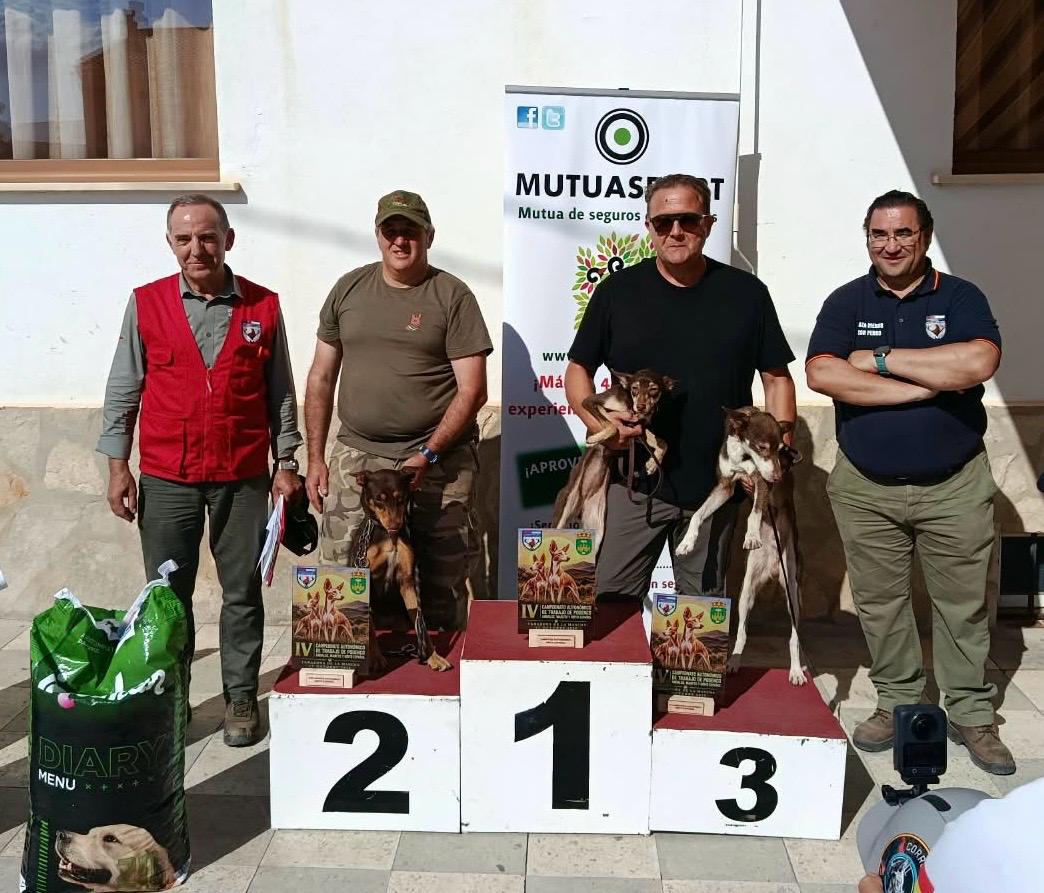 Campeonato Autonómico de Podenco Andaluz, Orito Español y Maneto